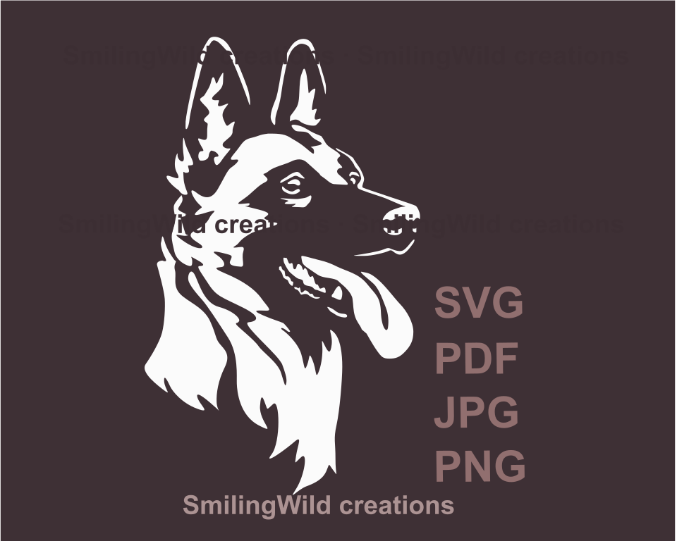 a smiling malinois white unique pet portrait