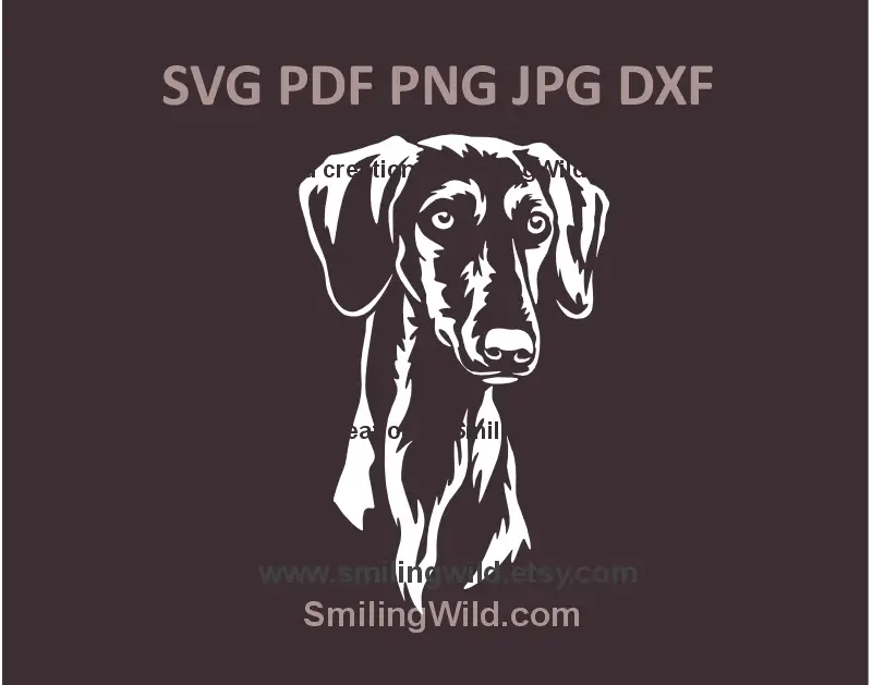 Smooth Saluki white head SVG, png, dxf clipart for Cricut crafts and laser cut gifts