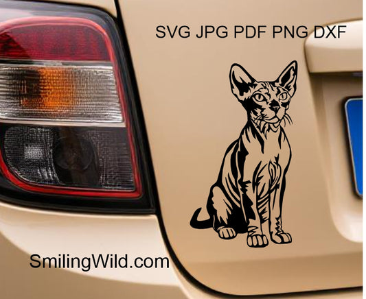 A car decal presenting the Hairless Sphynx cat digital clipart png file design for cutting and engraving crafts