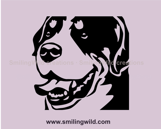 smiling Greater Swiss Mountain Dog vector art