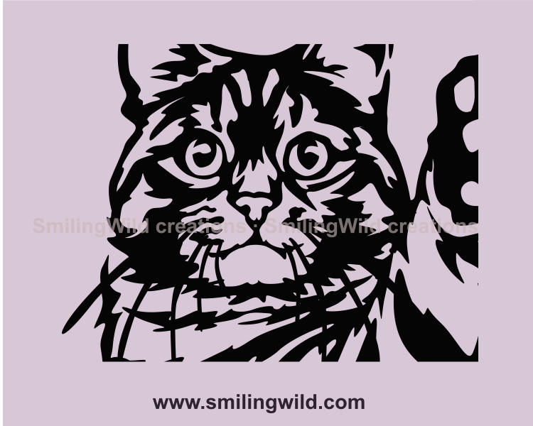 Tabby cat peeking in close up image