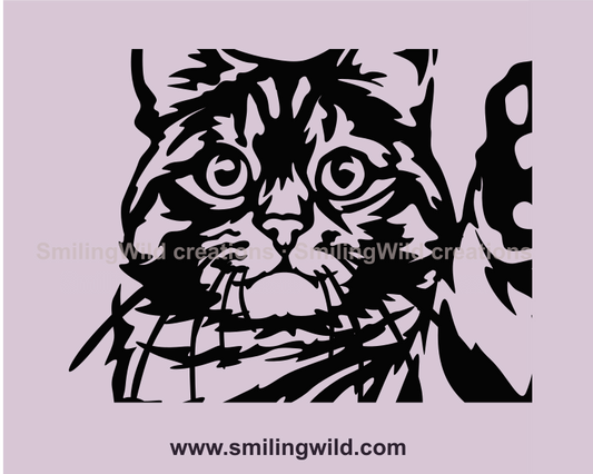 Tabby cat peeking in close up image