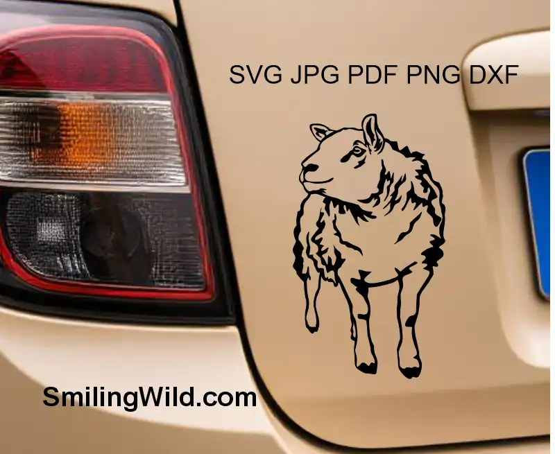 A car decal of a Realistic full body Texel ram clipart farm animal cut file for rustic décor and craft designs