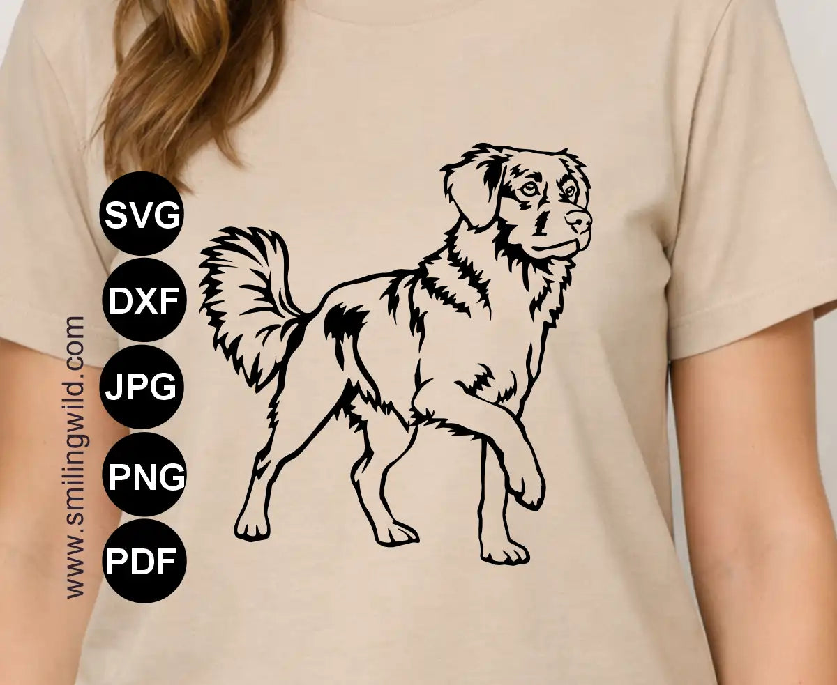Toller dog full body clipart dxf drawing presenting a hunting dog vector cutting file as a t shirt vinyl decal