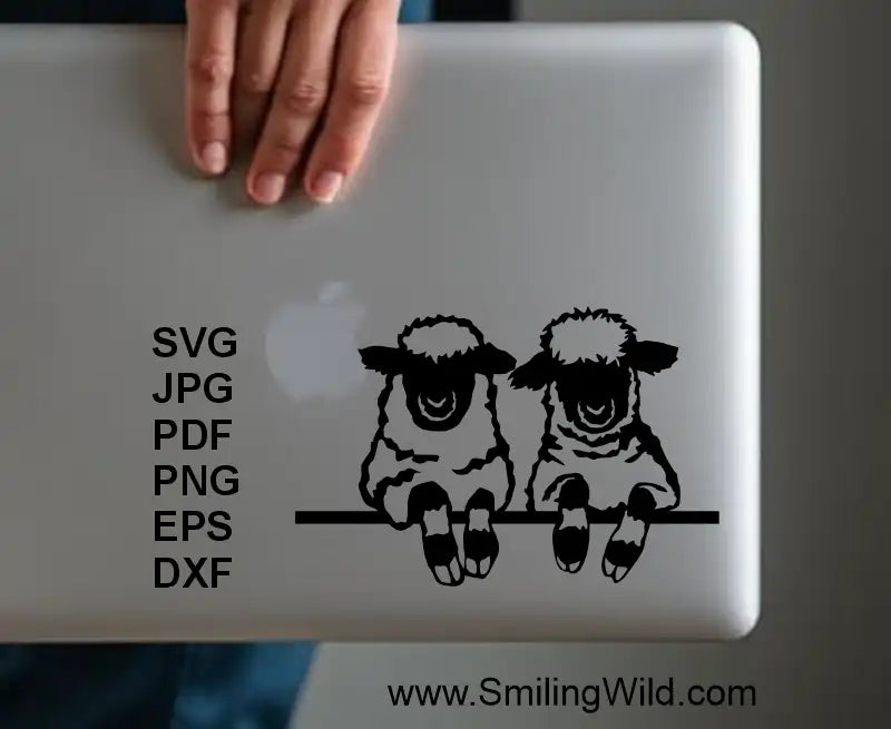 a paptop design sticker of two valais blacknose sheep made of png Cricut and laser cuttable file