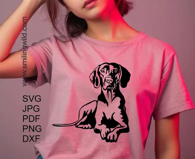 Lying Vizsla png DXF clipart presenting a hunting dog breed full body cut file image