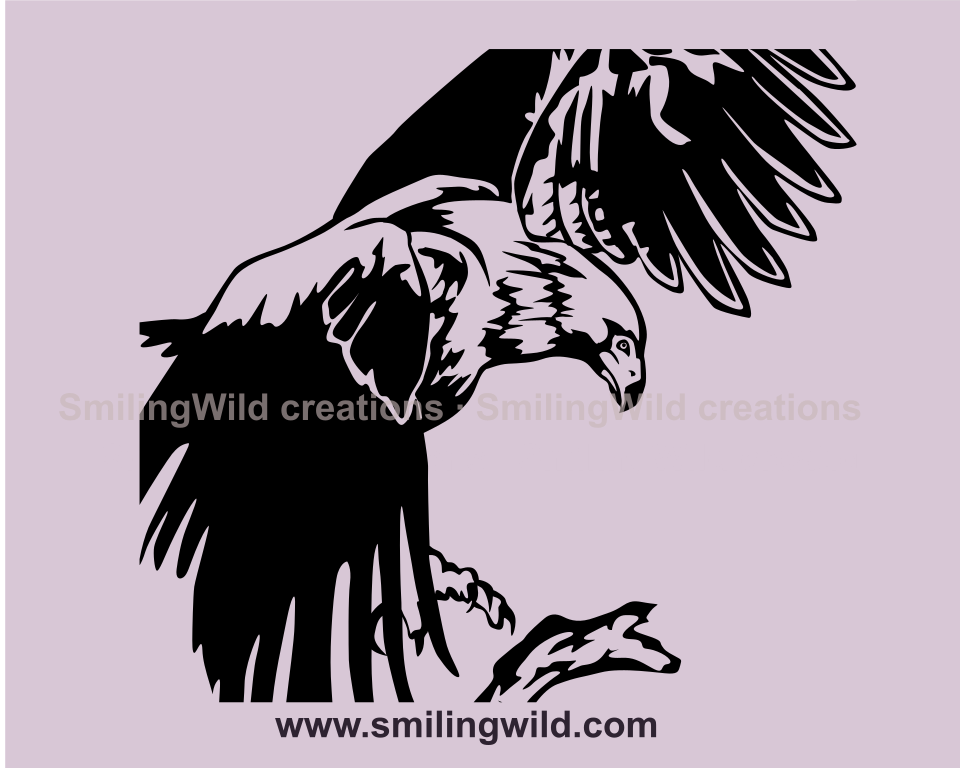 wedge tailed eagle vector graphic image in close up application
