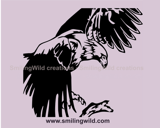 wedge tailed eagle vector graphic image in close up application