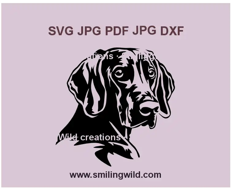 Weimaraner hunting dog SVG, png and dxf head clipart for Cricut and laser cutting