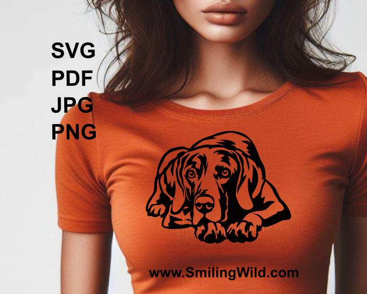 lying weimaraner is printed on t shirt for application