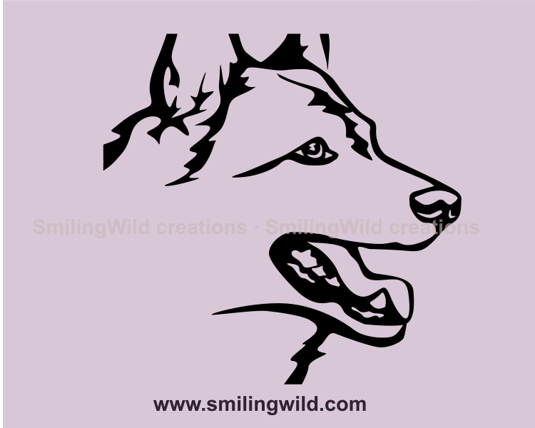 west siberian laika face in a clip art image