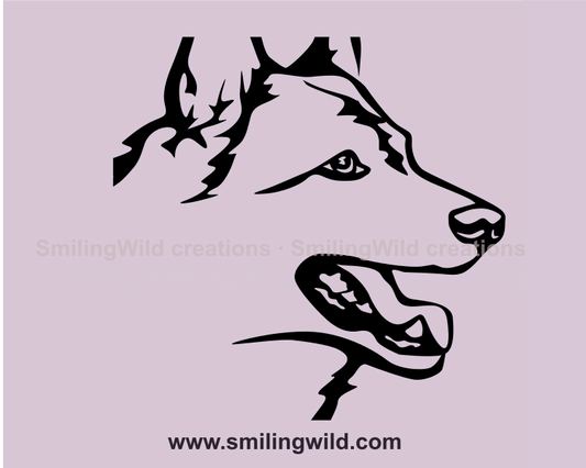 west siberian laika face in a clip art image