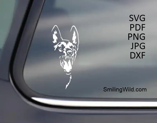 White angry Malinois SVG clipart cutting file displayed on black car window