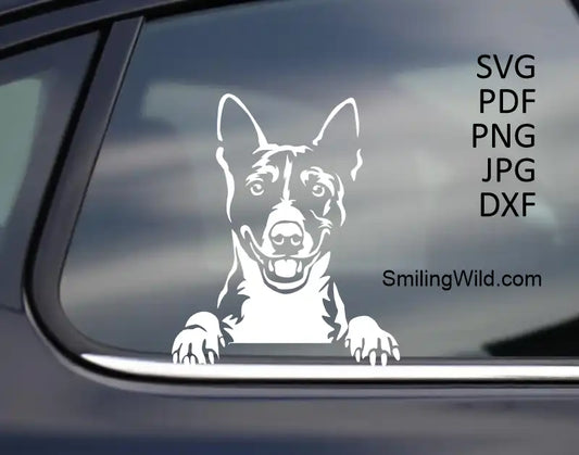 a car decal showasing a White Basenji dog peeking SVG PNG DXF digital craft file for vinyl and engraving