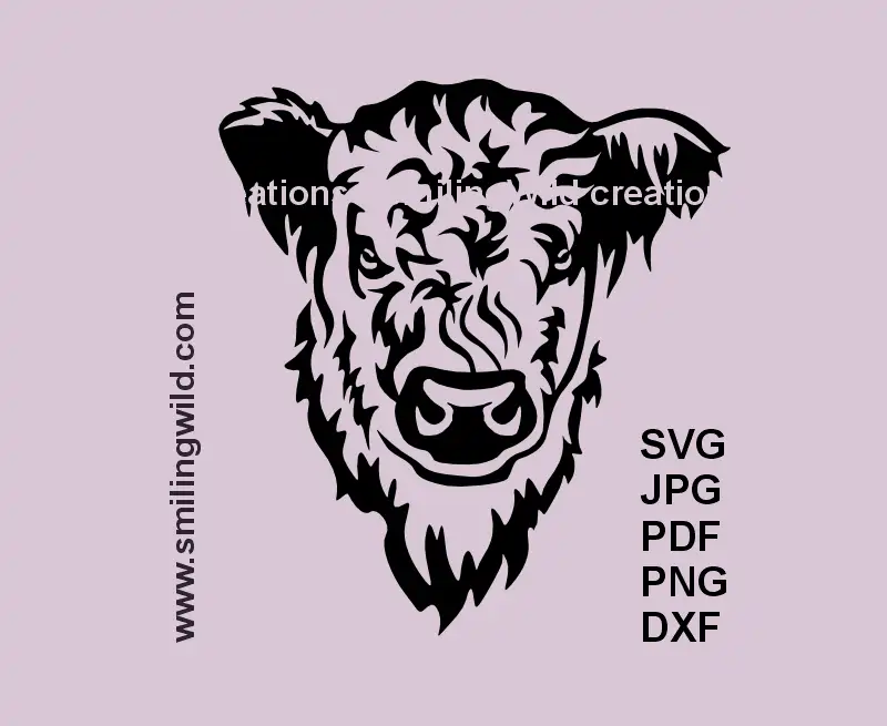 White Galloway Cow SVG, DXF, PNG black clipart, frontal head lifelike preview for Cricut, laser cutting, ranch livestock crafts