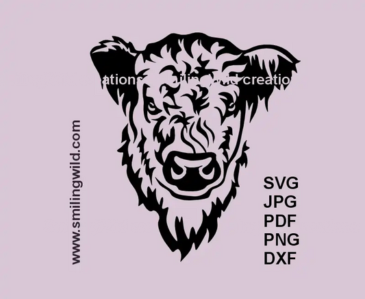 White Galloway Cow SVG, DXF, PNG black clipart, frontal head lifelike preview for Cricut, laser cutting, ranch livestock crafts