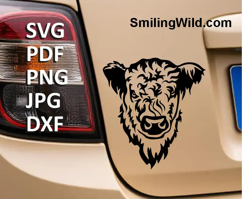 White Galloway Cow SVG, DXF, PNG black clipart, frontal head on a mockup for car window decal, Cricut, pastoral herd decor
