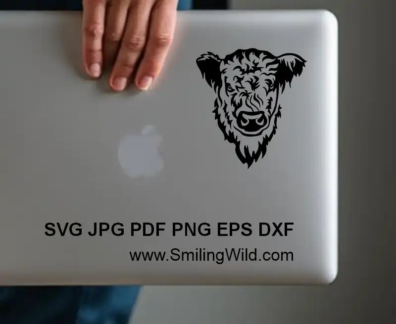 White Galloway Cow SVG, DXF, PNG black vector rgaphic clipart, frontal head on mockup for laptop sticker, Cricut, laser cutting, ranch livestock crafts