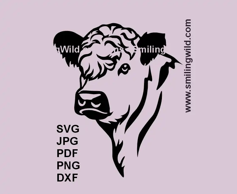 White Galloway beef cow SVG head clipart – black vector farm animal design for barn signs and laser cutting