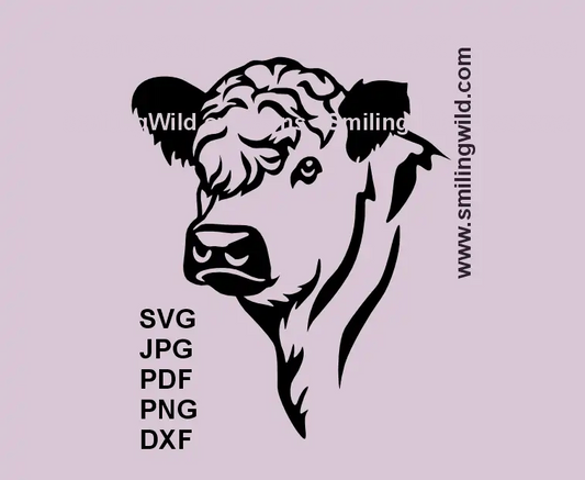 White Galloway beef cow SVG head clipart – black vector farm animal design for barn signs and laser cutting