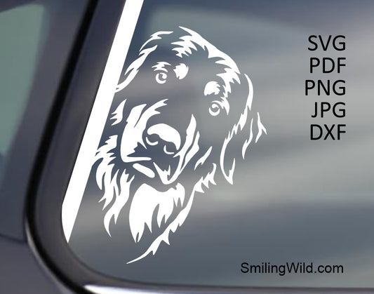 Peeking Hovawart Face in white color png and dxf Vector clipart File applied to a black surface, demonstrating the design quality and visibility.