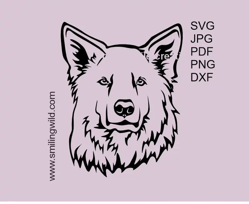 White Swiss Shepherd dog face frontal portrait SVG PNG DXF vector clipart for Cricut cutting and laser engraving
