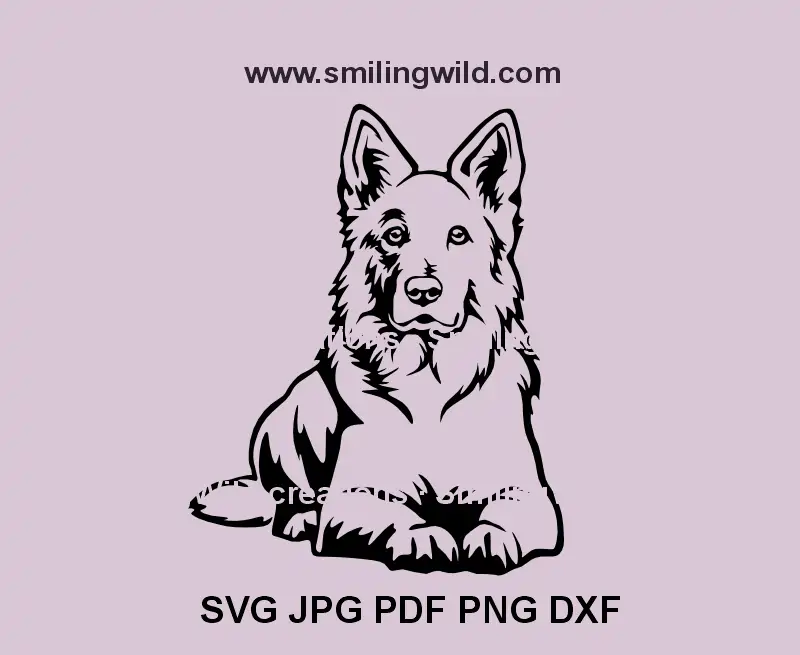 White Swiss Shepherd SVG – Lying Berger Blanc Suisse vector graphic, perfect for Cricut and laser cutting