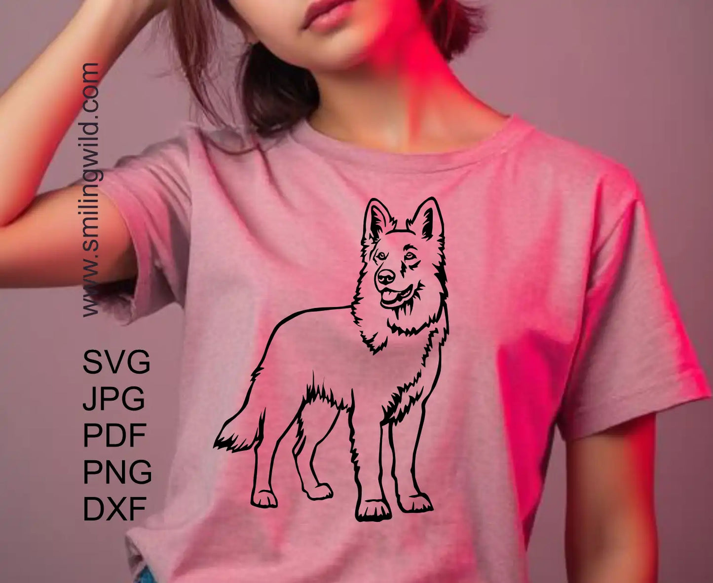 Full body, standing White Swiss Shepherd dog (Berger ablnc suisse) vinyl decal illustration presenting png and dxf cut file for Cricut and laser