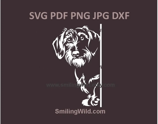 Wirehaired Dachshund peeking SVG – Black & white corner dog clipart for laser cutting