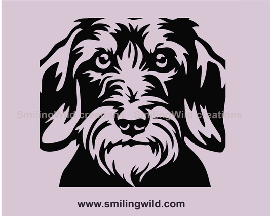 wirehaired dachshund graphic portrait made as digital file