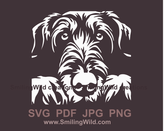 irish wolfhound face sample of a cuttable portrait