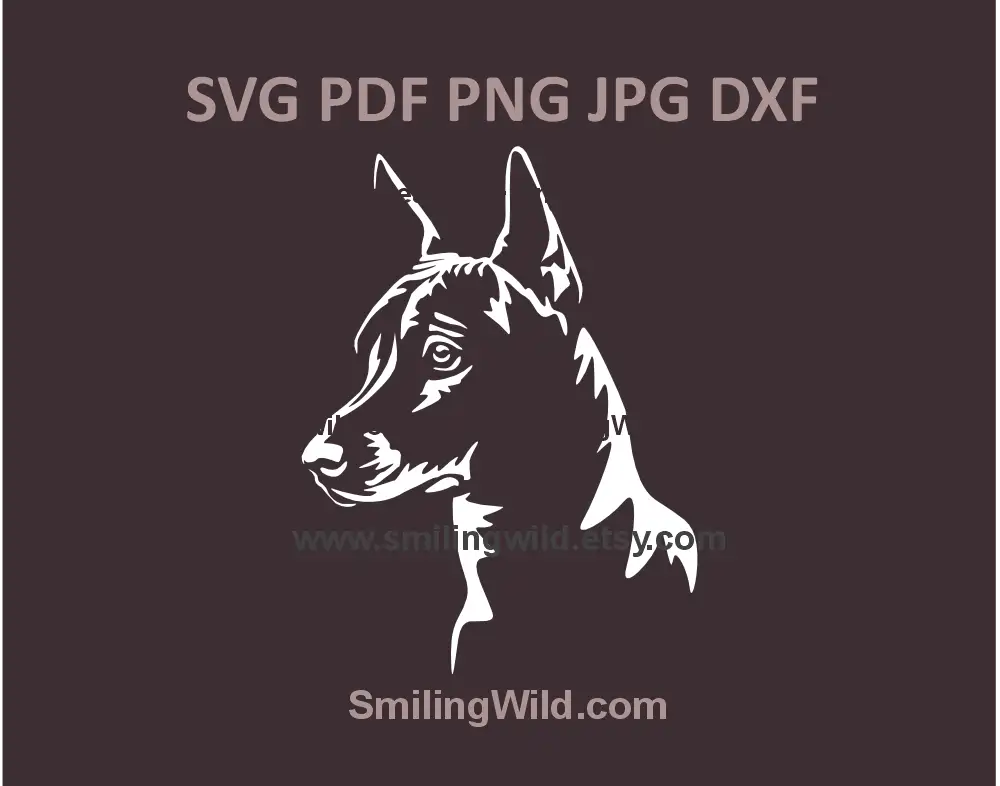 Mexican hairles Xolo dog SVG, png, dxf for laser cutting and engraving projects