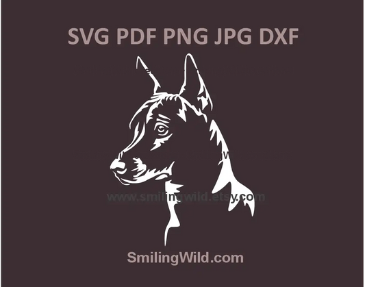 Mexican hairles Xolo dog SVG, png, dxf for laser cutting and engraving projects