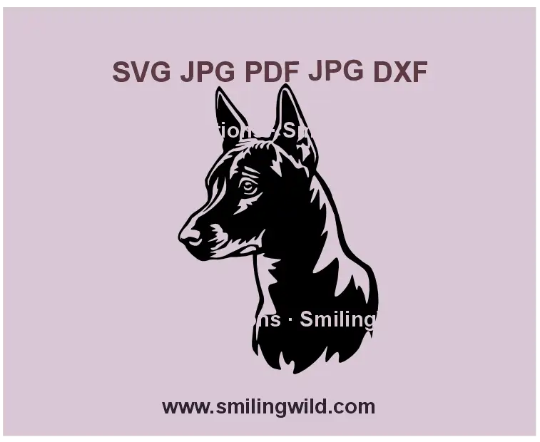 Xoloitzcuintle head SVG, png, dxf for Cricut - Realistic Mexican hairless dog vector clipart for laser cutting