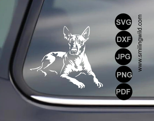 Xoloitzcuintli vector art DXF application showing cutting results in white vinyl sticker
