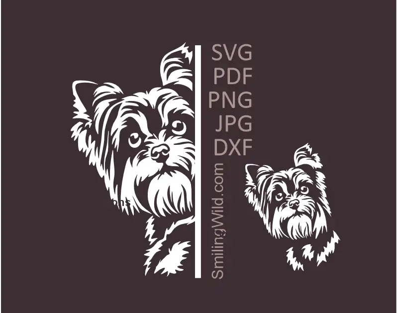 Yorkshire Terrier peeking around the corner and a separete face design in white SVG PNG DXF vector cuttable clipart for Cricut and laser cutting