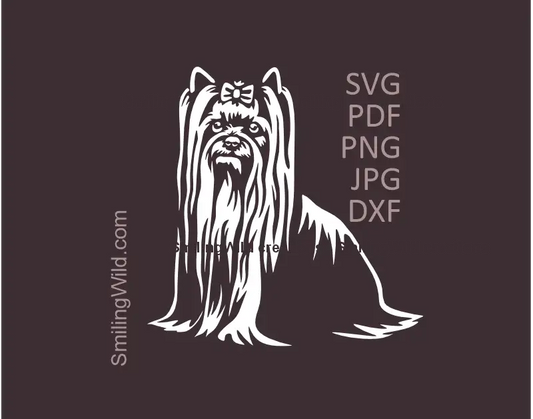 Yorkshire Terrier white SVG PNG DXF long coat vector clipart digital file for Cricut crafts and laser cutting