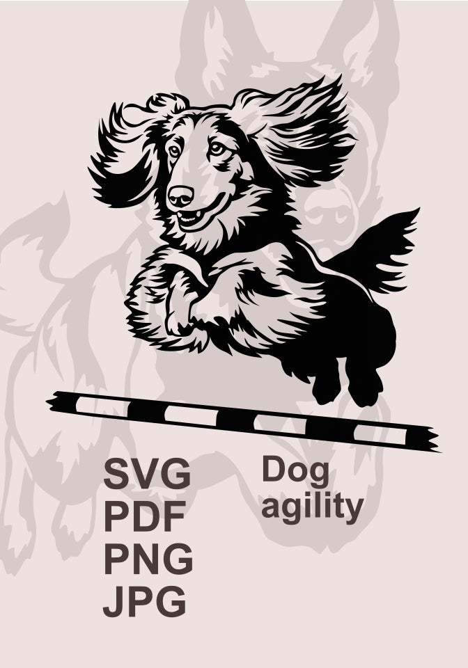 Dog agility designs