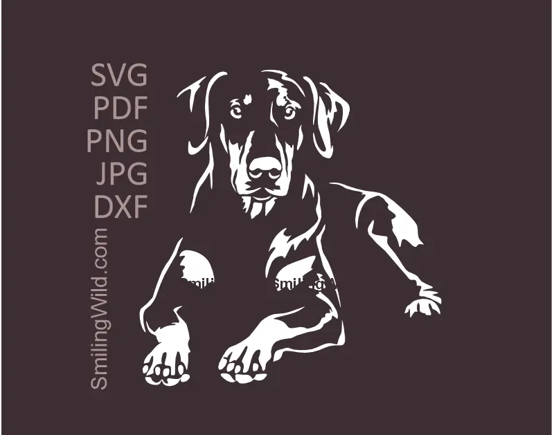 Dobermann Pinscher SVG PNG DXF - Lying Dog White Vector Clipart