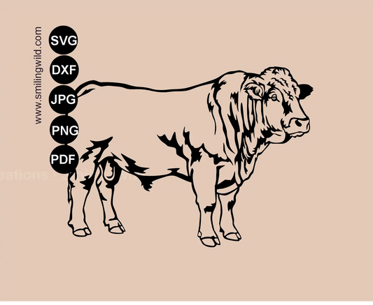 Limousin SVG Clipart - Beef Bull Vector Art Cutting File