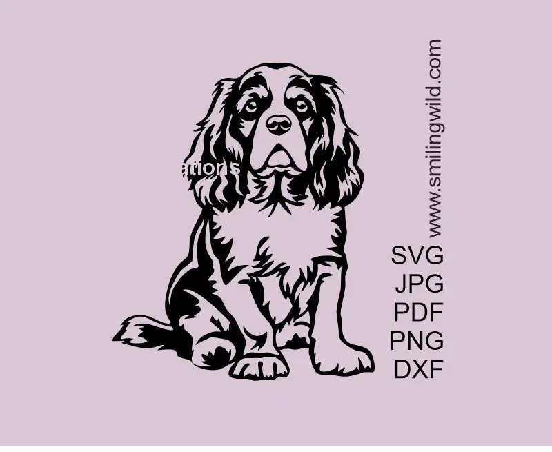 Cavalier King Charles Spaniel SVG, PNG, DXF – Sitting Dog Vector Graphic for Cutting and Engraving