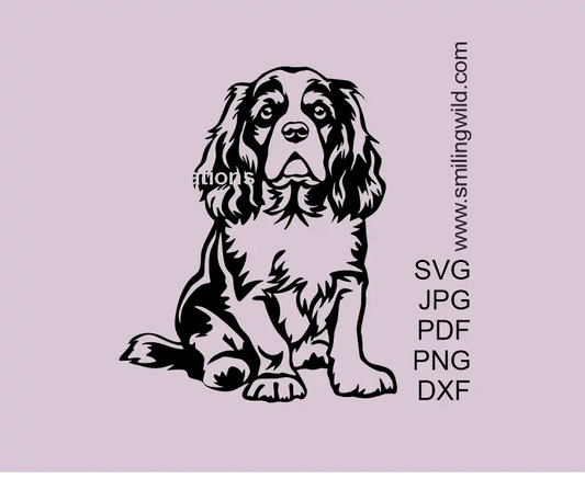 Cavalier King Charles Spaniel SVG, PNG, DXF – Sitting Dog Vector Graphic for Cutting and Engraving