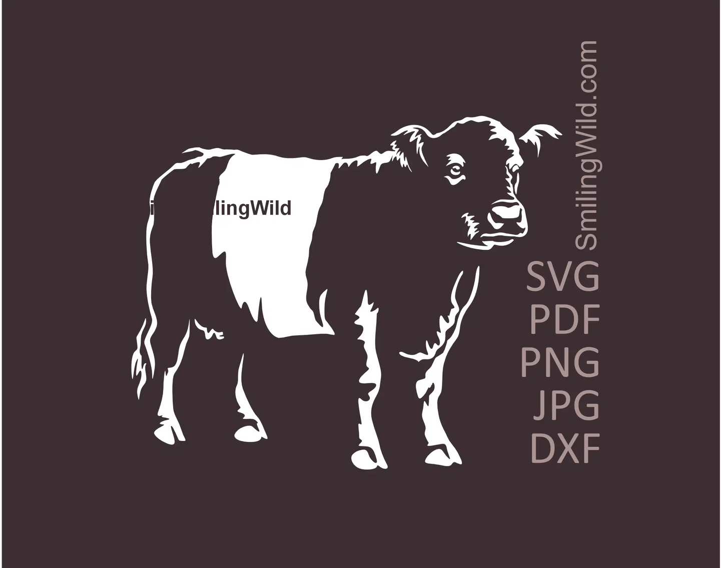 Belted Galloway SVG, PNG, DXF White Vector Cutting Files