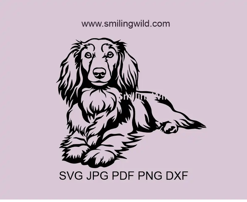 Long haired Dachshund SVG, png and dxf Vector Digital Clipart. Detailed lying dog vector art optimized as a cut file.