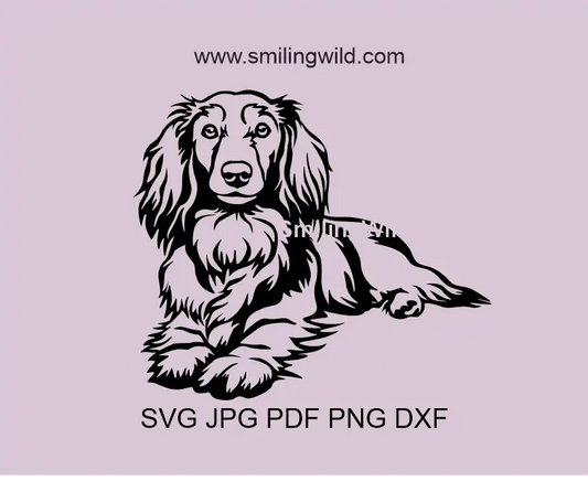 Long haired Dachshund SVG, png and dxf Vector Digital Clipart. Detailed lying dog vector art optimized as a cut file.