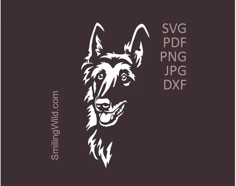 Tervuren White SVG Vector Clipart - Dog Face Portrait for Laser