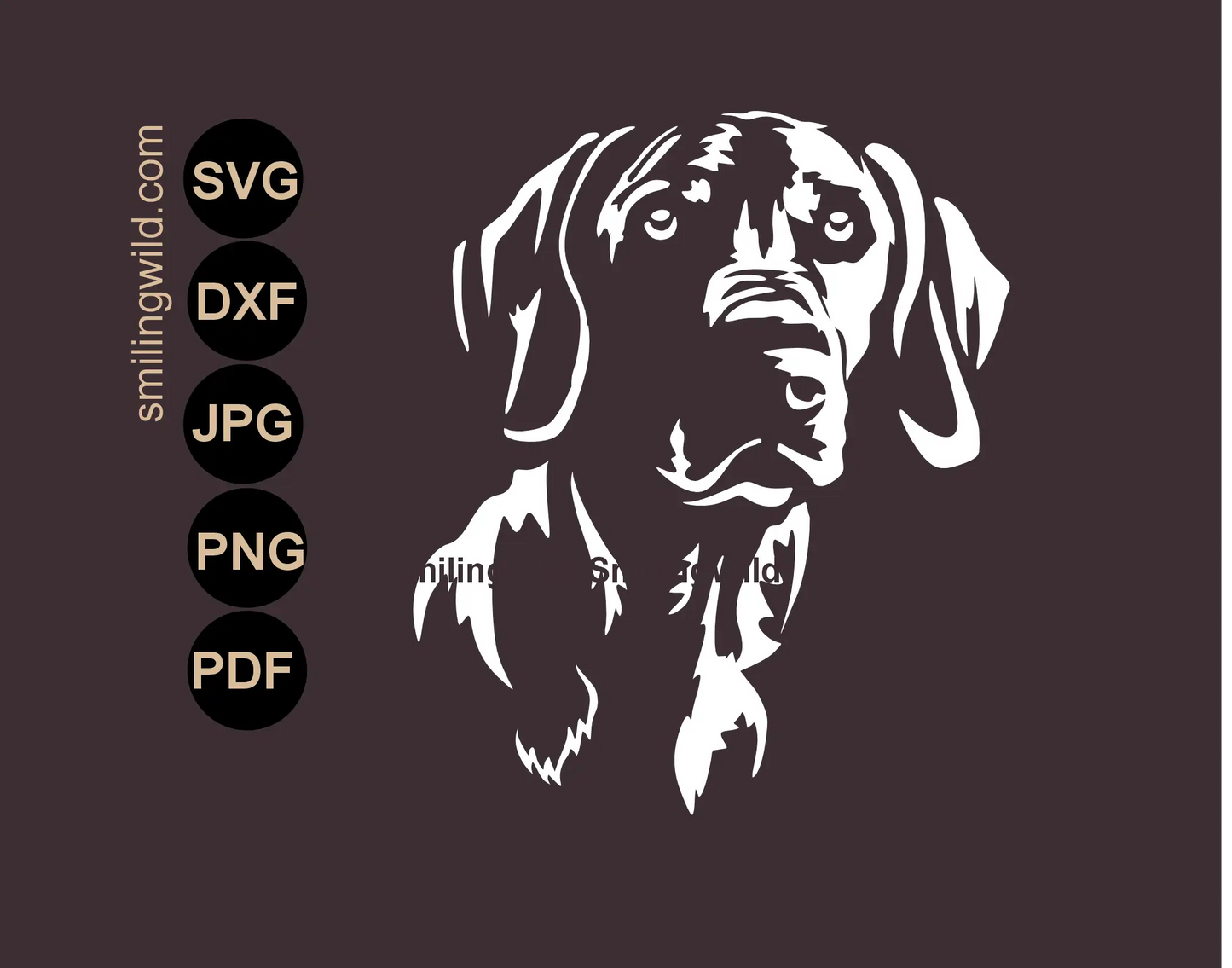 Weimaraner svg vector clipart dog white cut file art - a frontal face portrait, optimized for high-contrast dark backgrounds.
