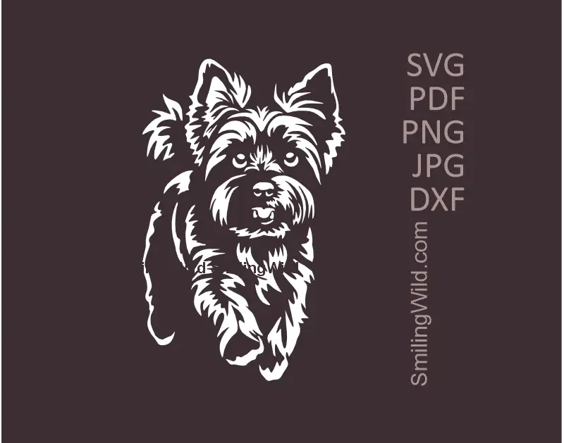 Running Yorkshire Terrier White SVG Clipart - Full Body Vector Cut File