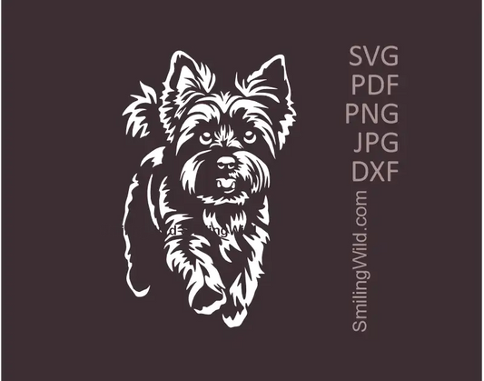 Running Yorkshire Terrier White SVG Clipart - Full Body Vector Cut File