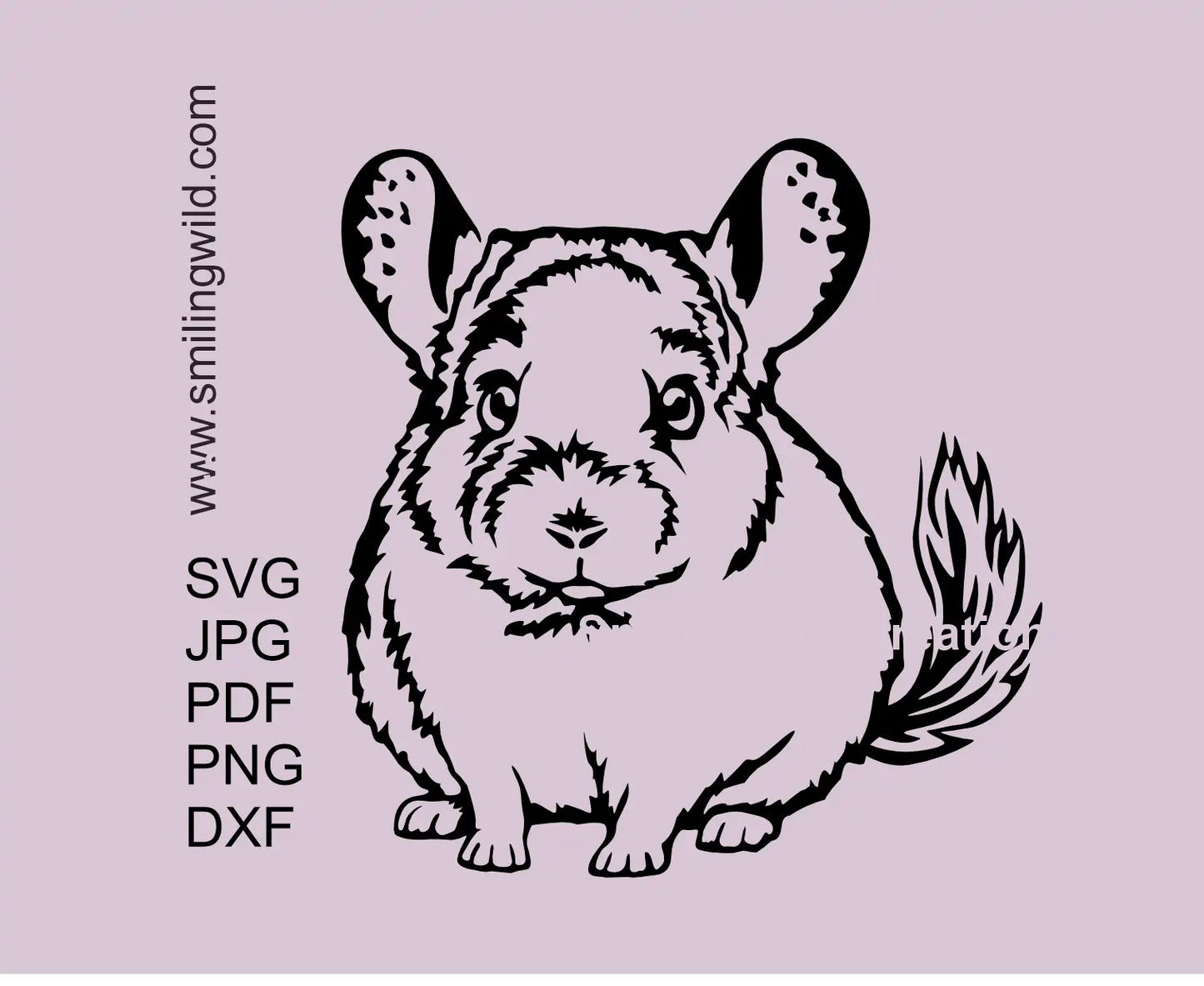 Chinchilla SVG PNG DXF Clipart-Bild - Vektorschneiddatei
